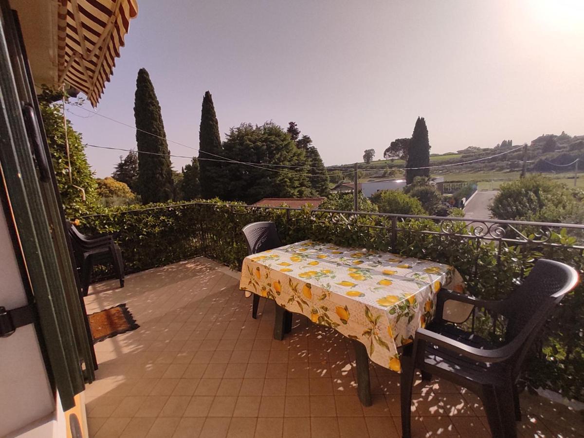 Bedbardolino *