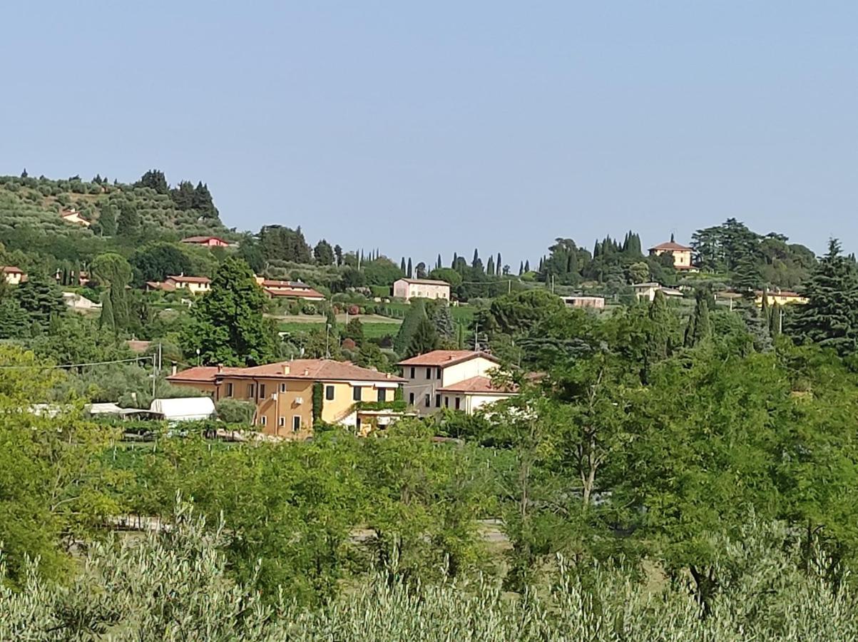 Bedbardolino * Bardolino