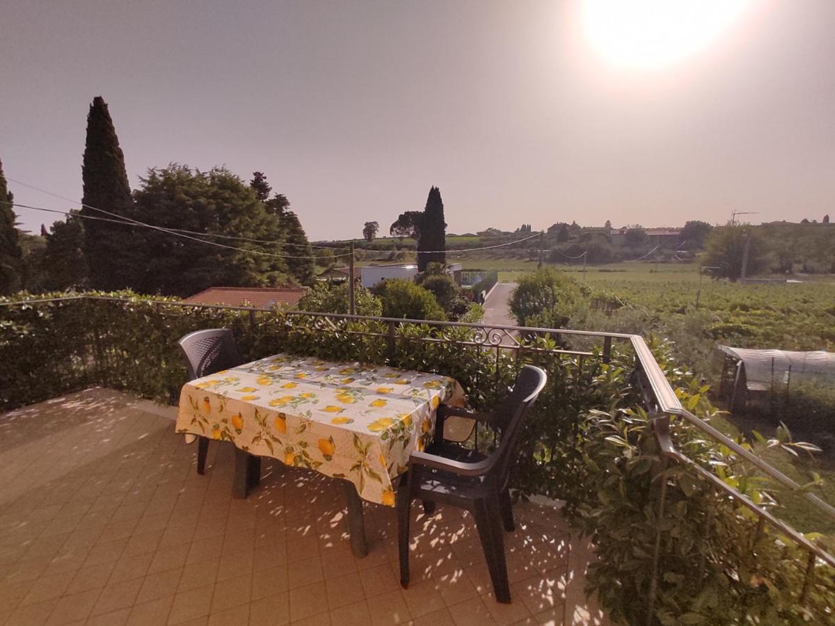 Bedbardolino * Bardolino