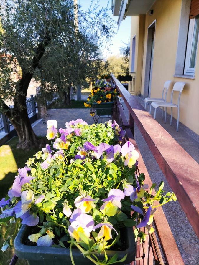 Apartment Bellini *