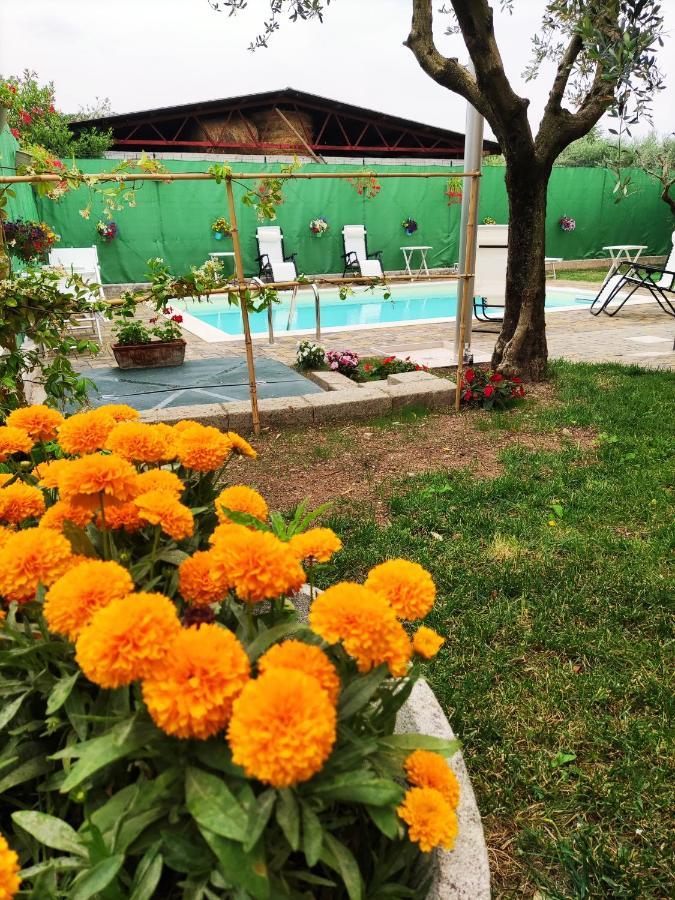 Bellini Apartment Bardolino