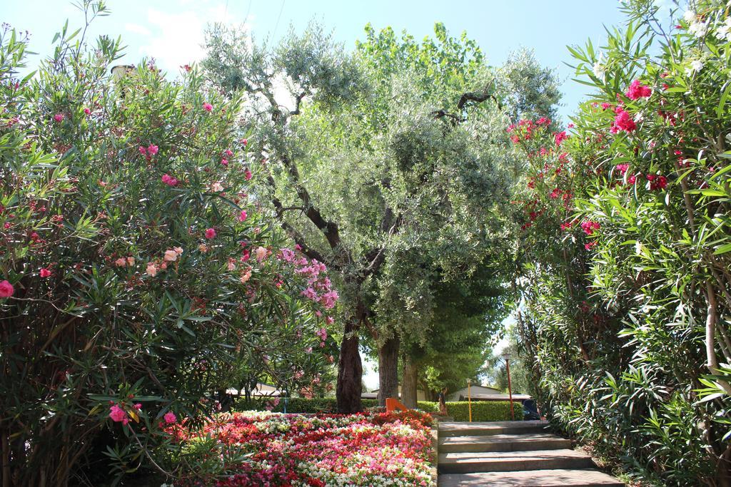 Campingplatz Cisano - San Vito