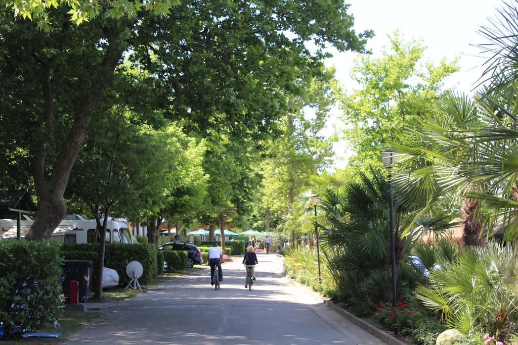 Cisano - San Vito Campingplatz Bardolino