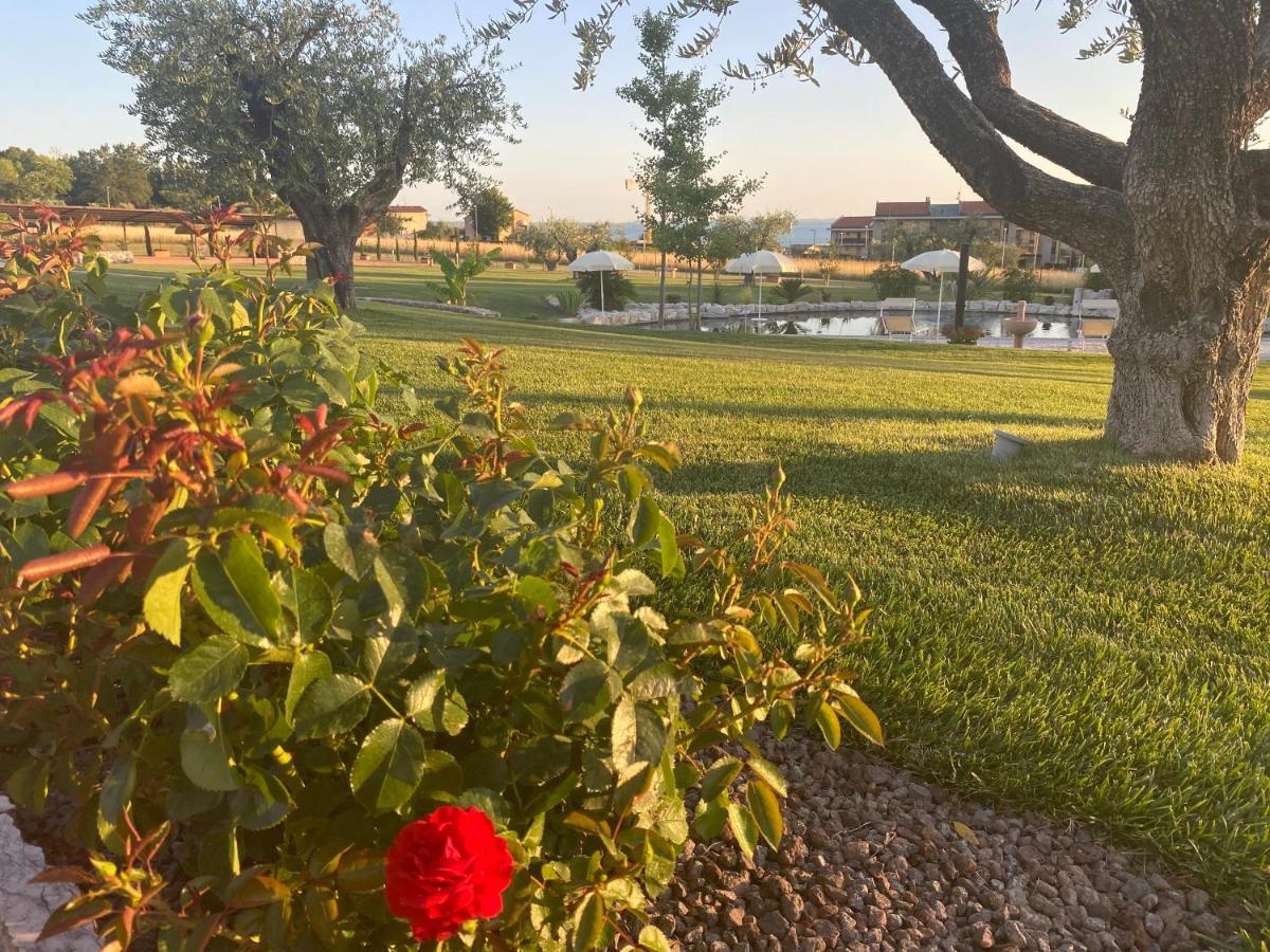 Ortaglia Farm stay Bardolino