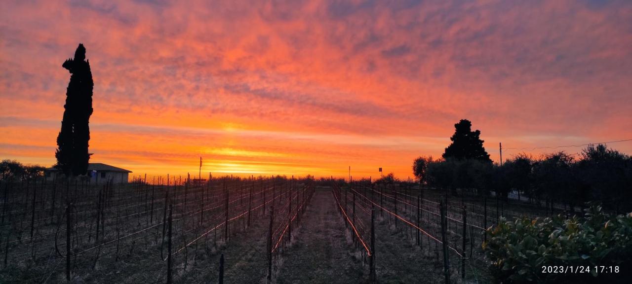 Appartamento A Bardolino