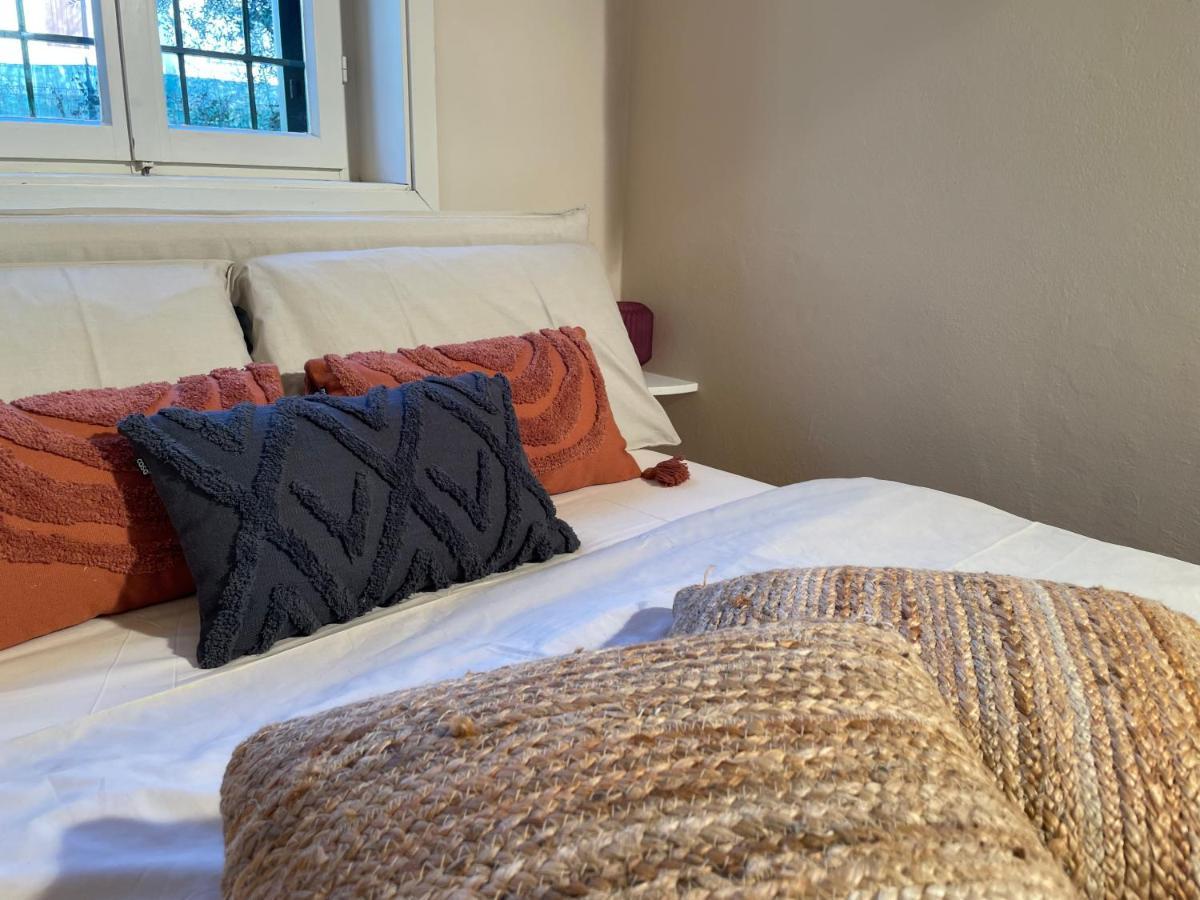Ca Olivo Holiday home Bardolino