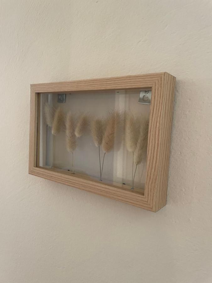 Ferienhaus Ca Olivo *
