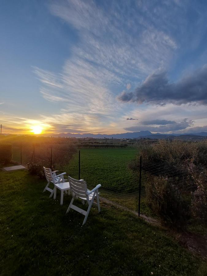 Appartamento Casa Tra Gli Olivi Bardolino
