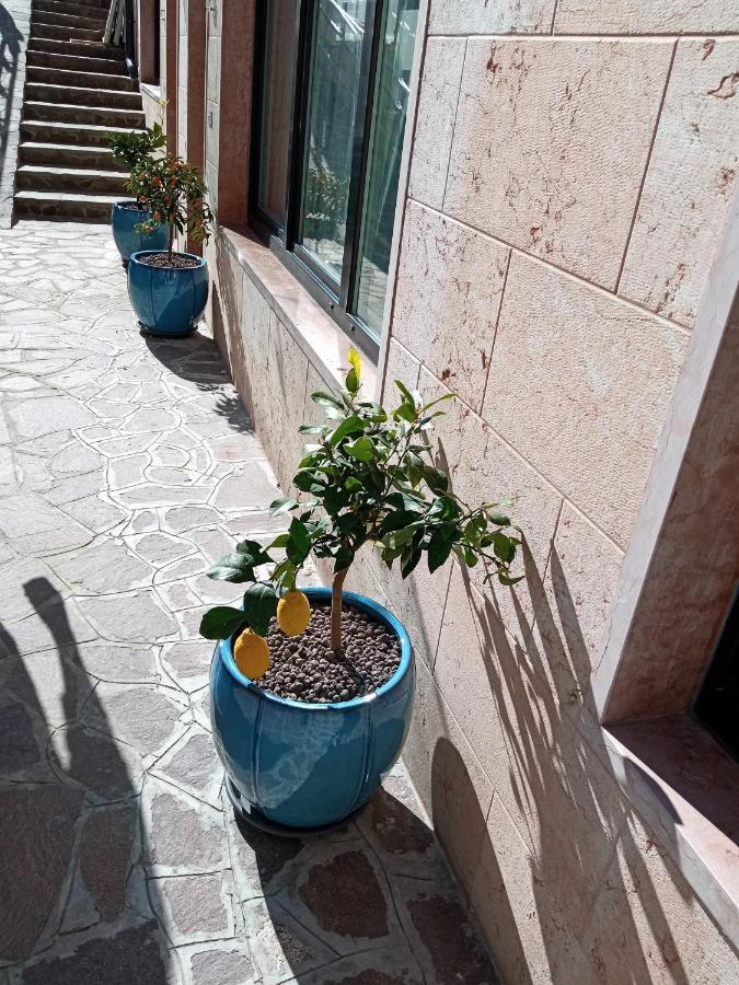 Orchidea 3* Bardolino