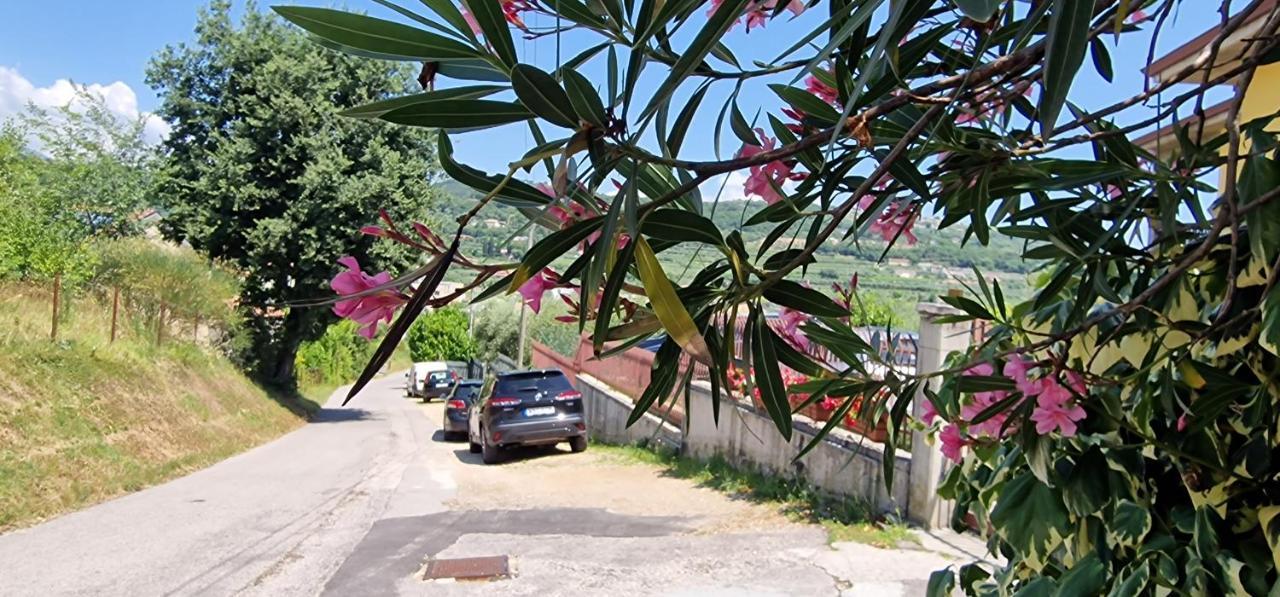 A * Bardolino