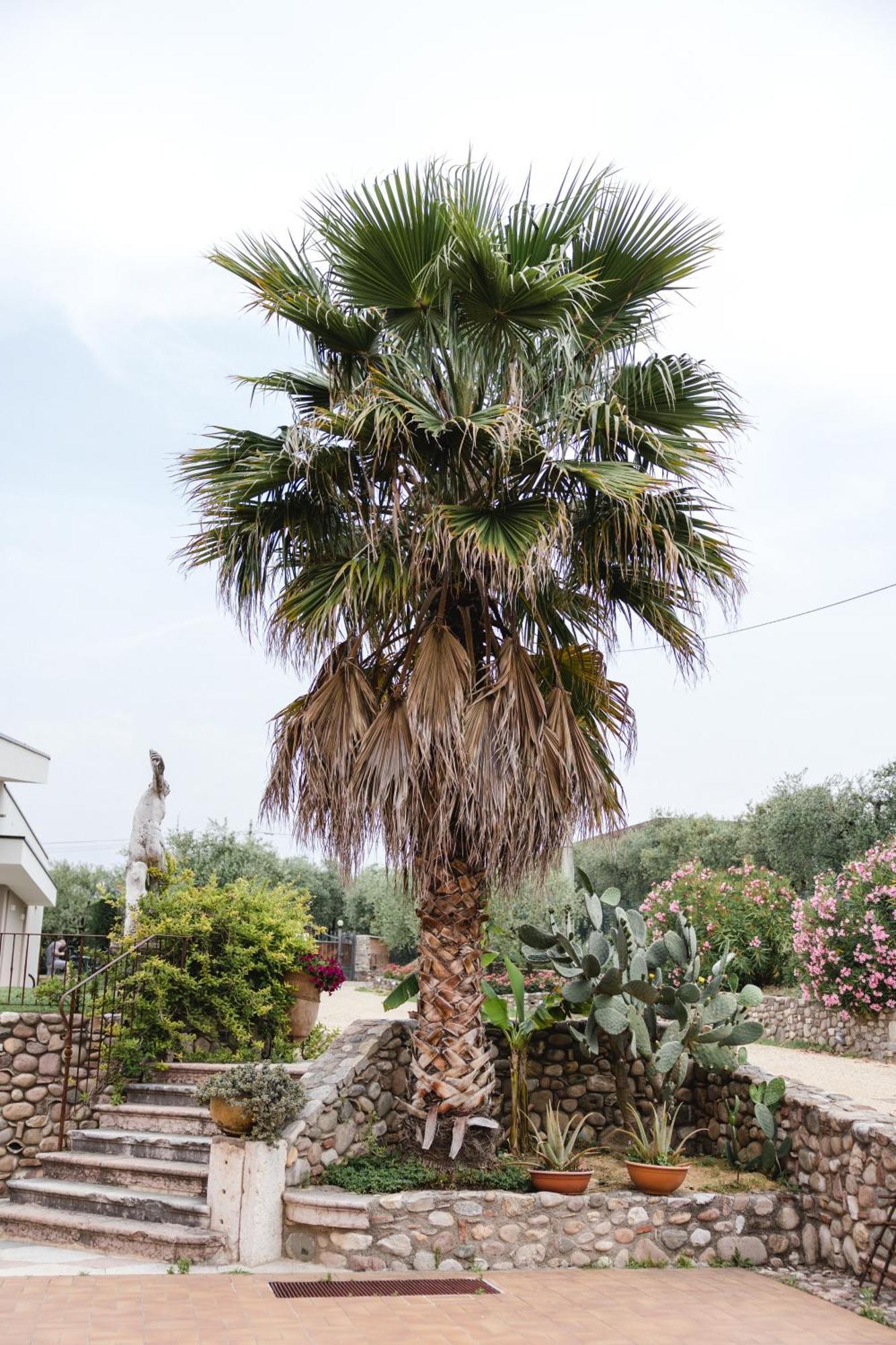 Holiday home La Rondinella