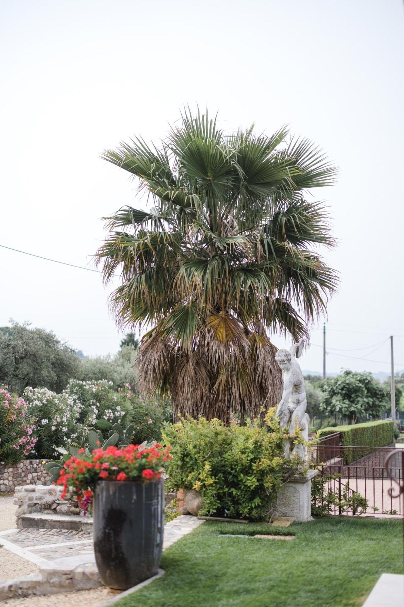 Holiday home La Rondinella Bardolino