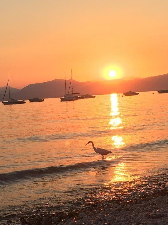 Olivenblatt 4 * Bardolino