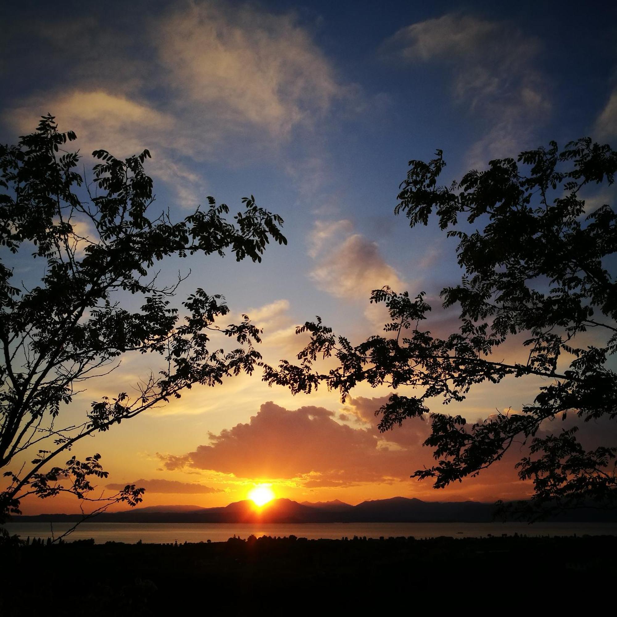 Farm stay Calicantus Bardolino