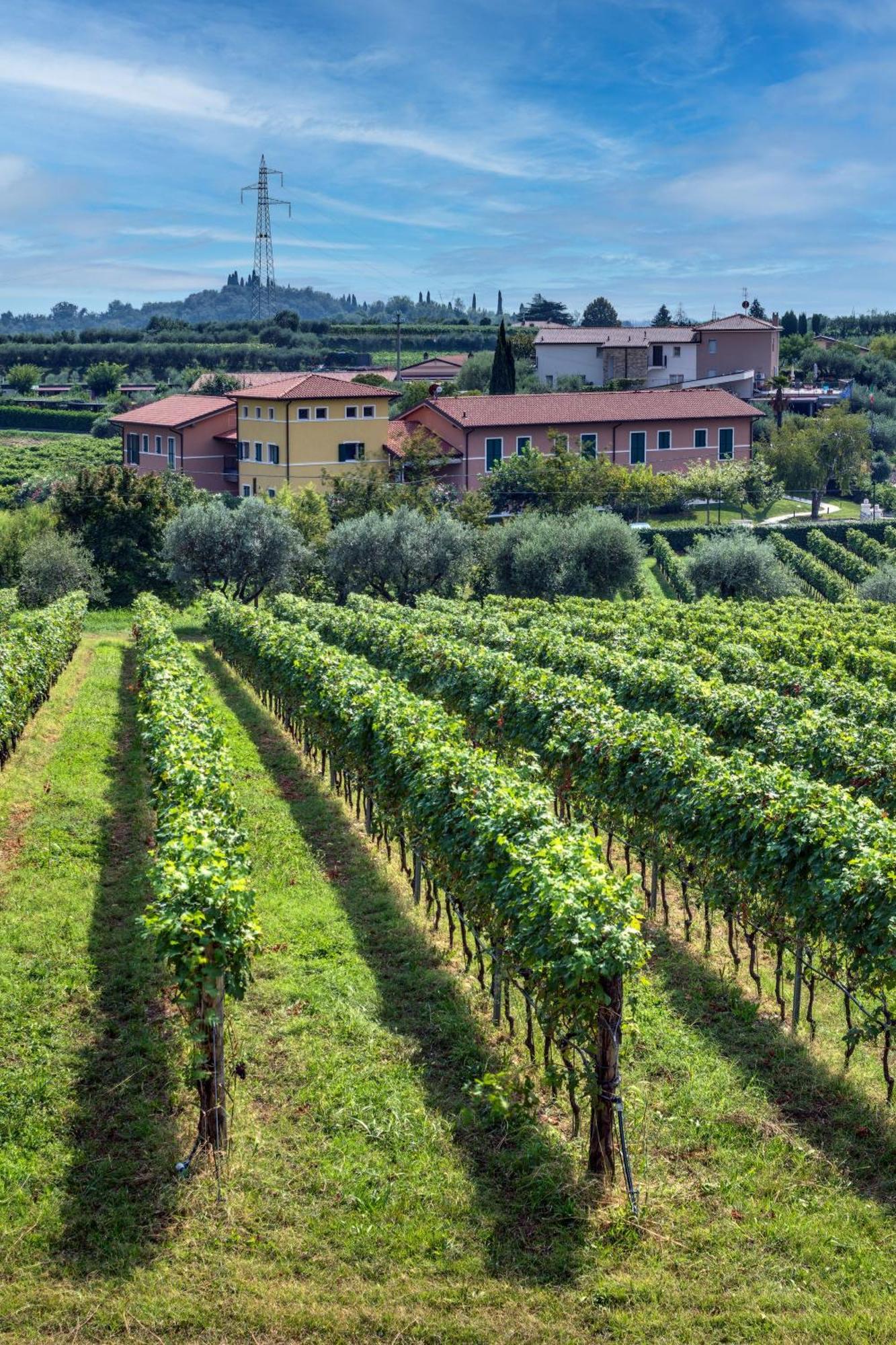 Aparthotel Tenuta Di Palu Bardolino