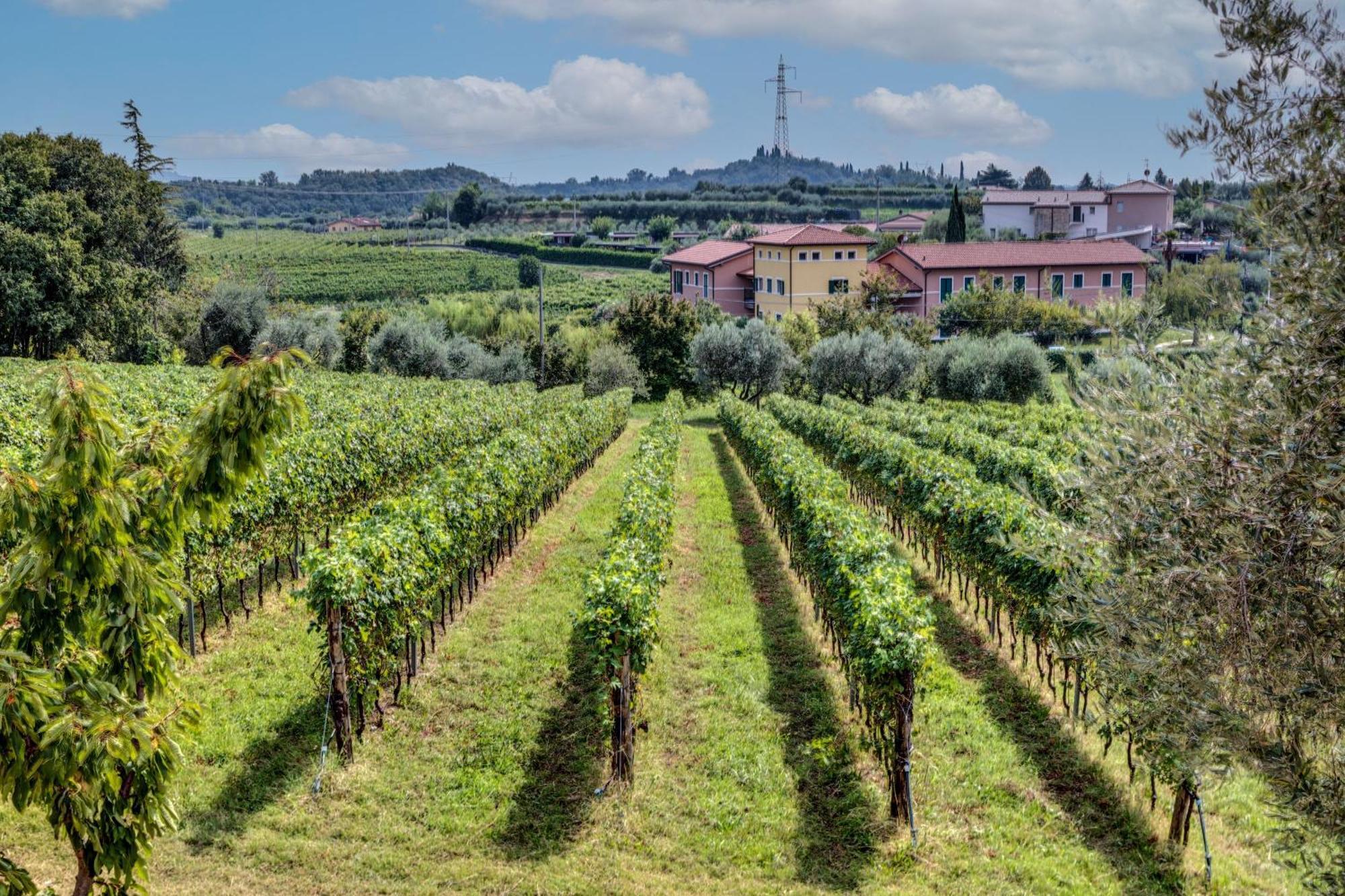 Aparthotel Tenuta Di Palu Bardolino