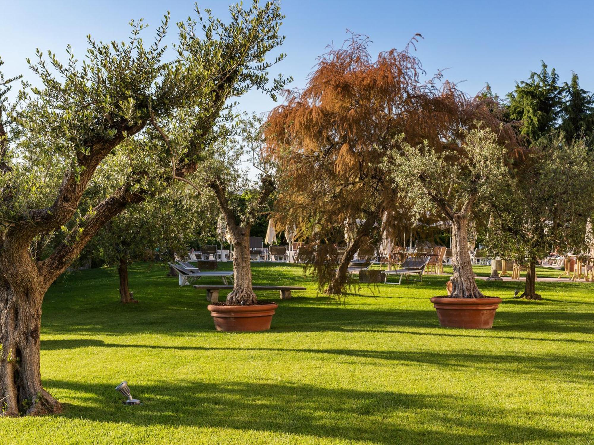 Hotel Ca' Mura