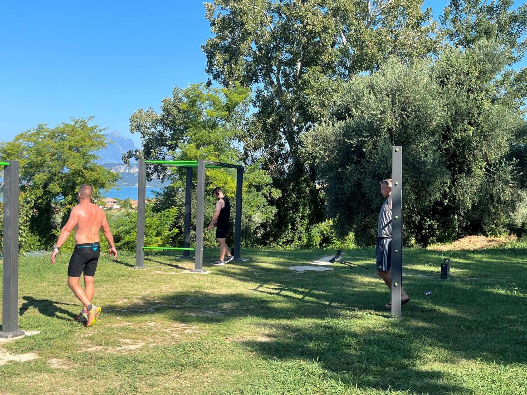 Complex Sisan Family Bardolino