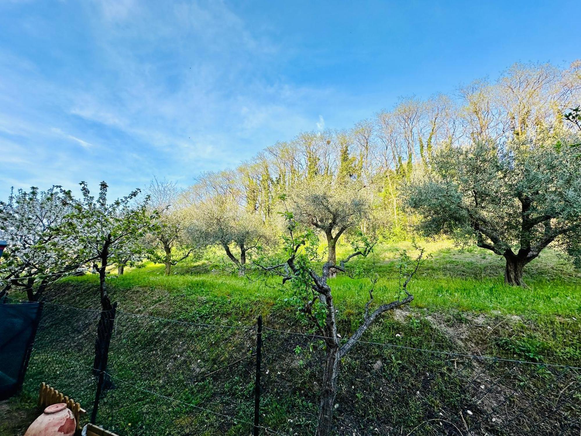La Casa Di Lina Apartment Bardolino