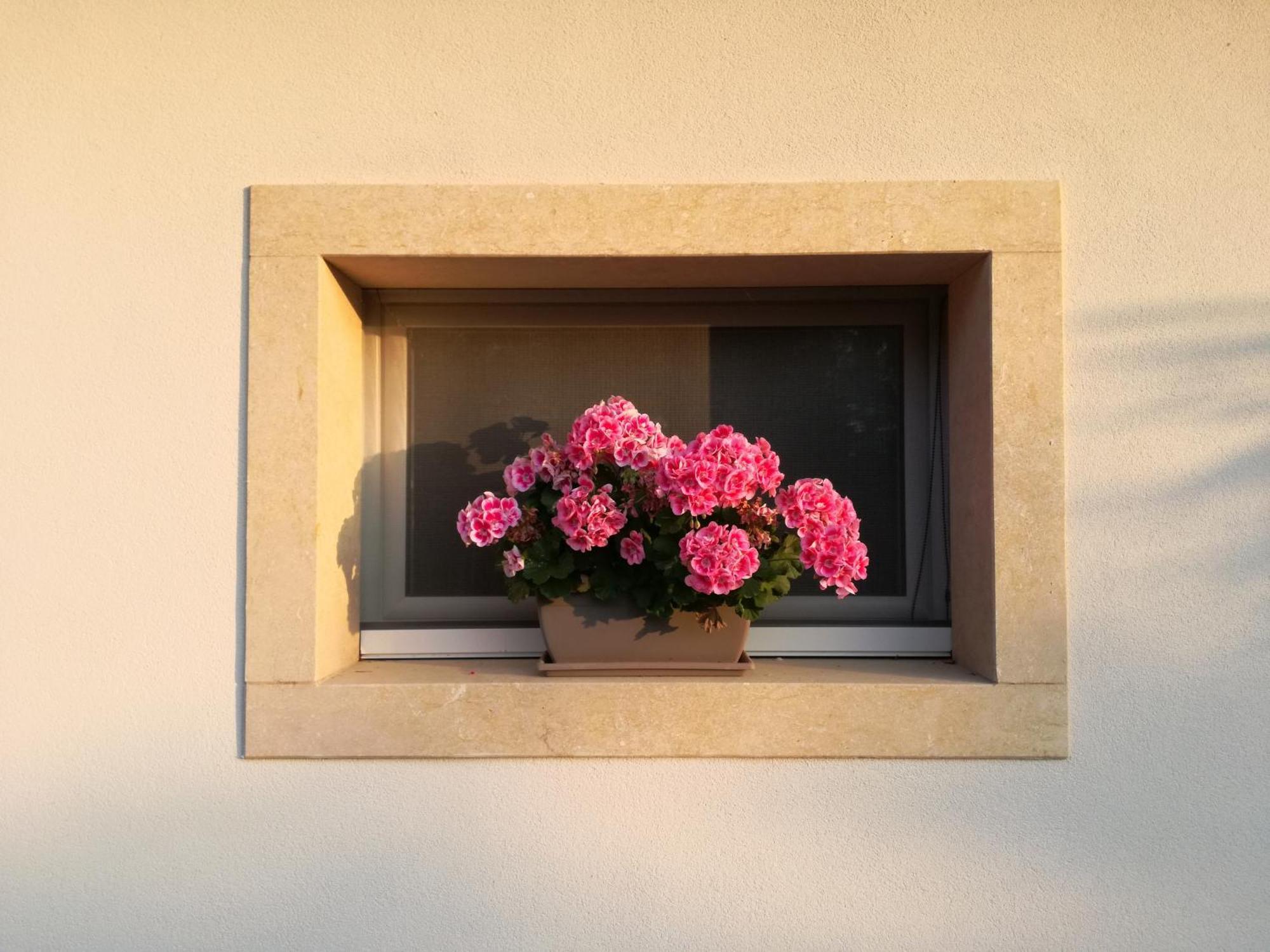 Bed & Breakfast Relais Colle San Giorgio Bardolino