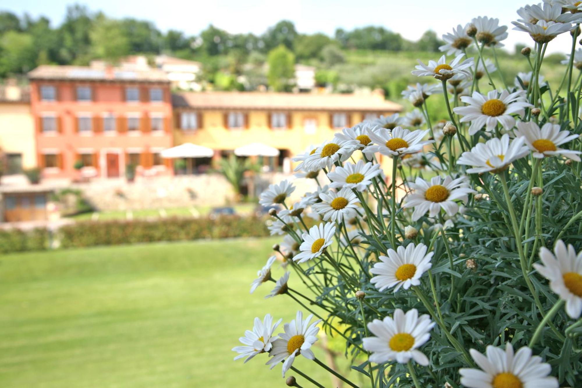 La Zerla Bardolino