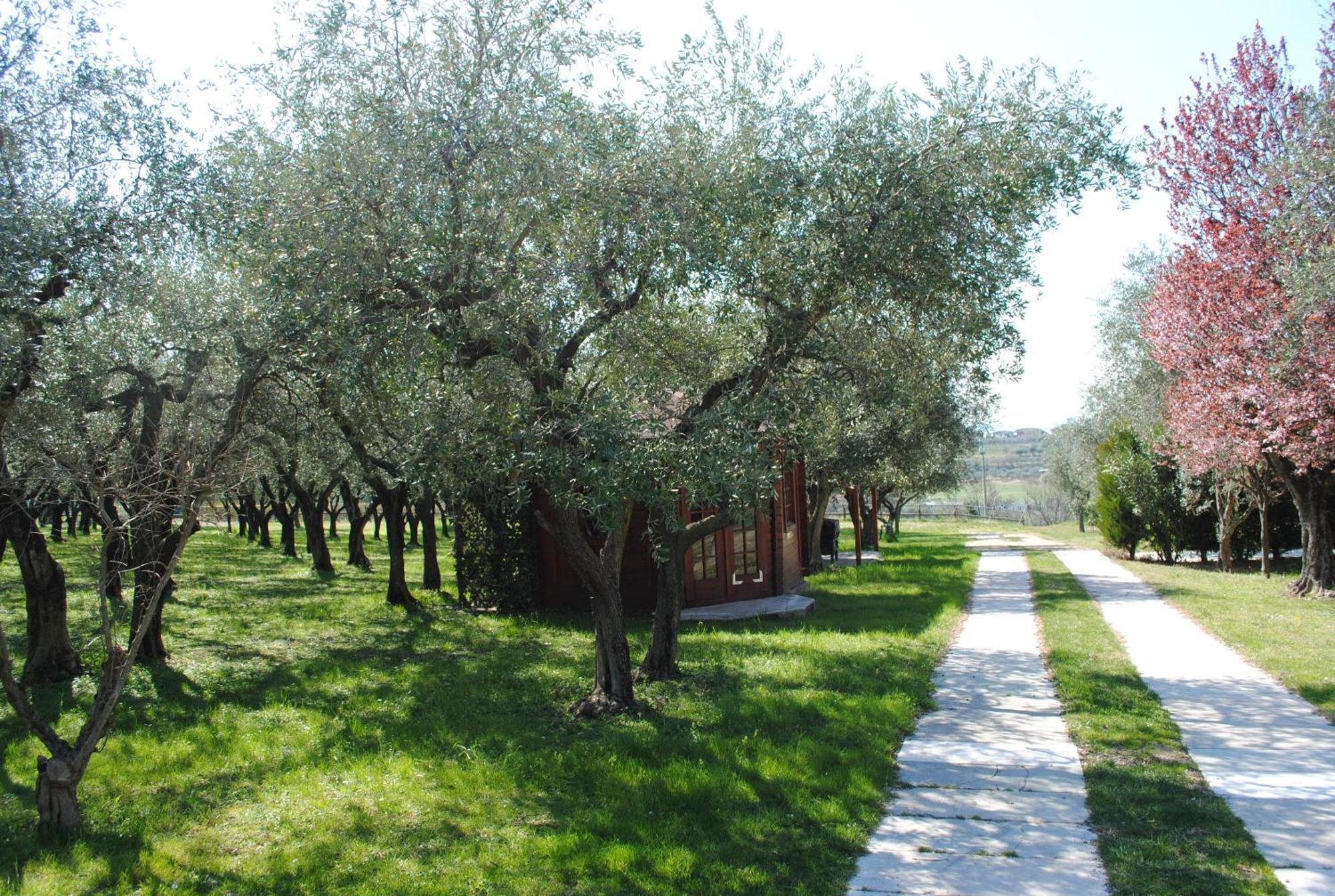 Aparthotel Melograno D'oro