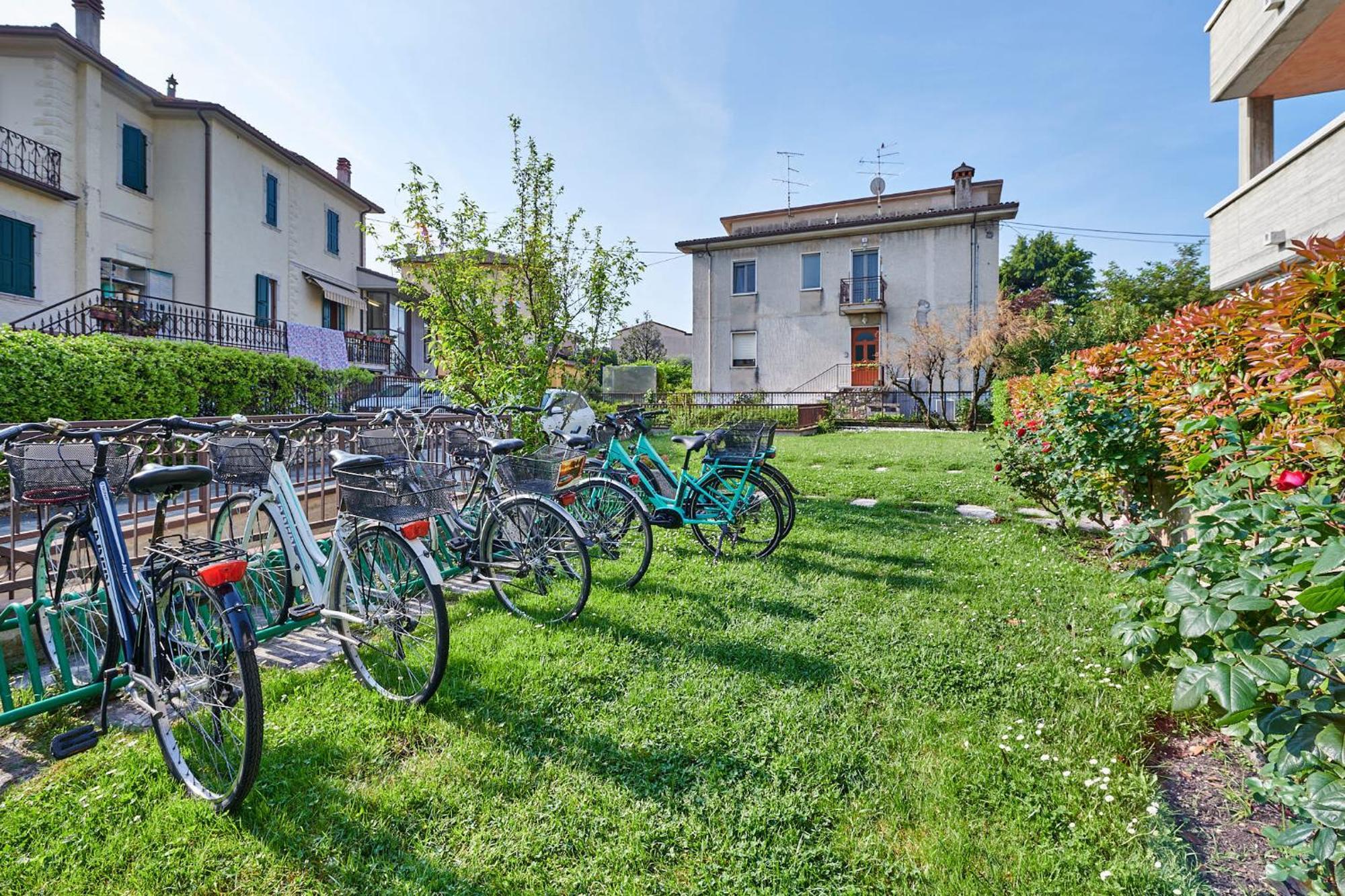 Rainer - Front * Bardolino