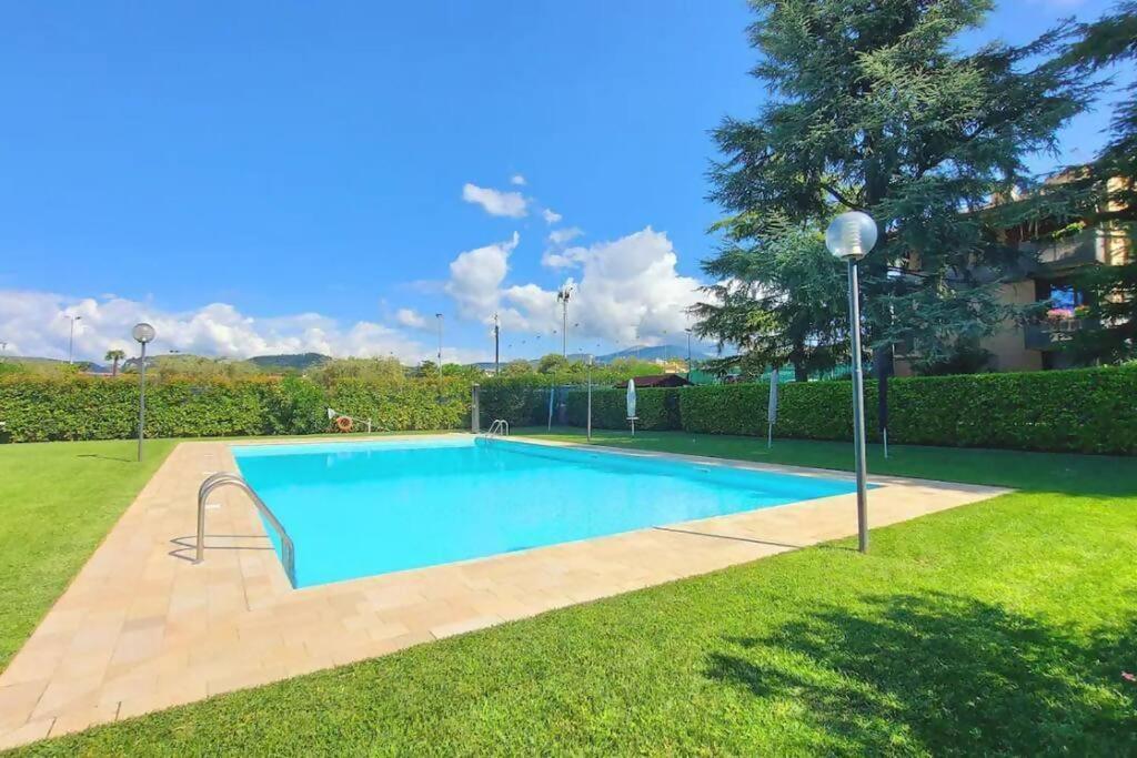 Apartment Colors Pool *