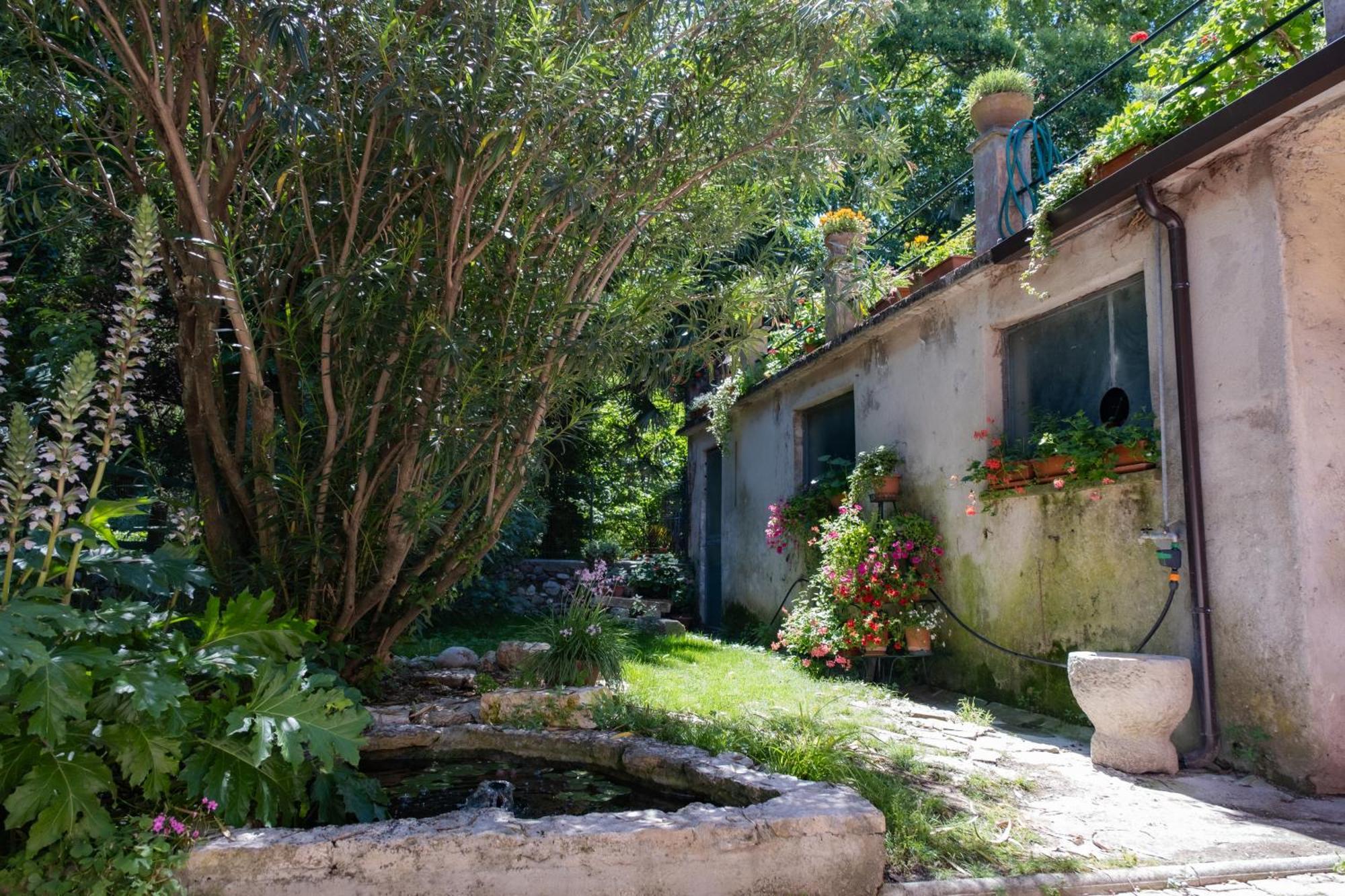 Tidami * Bardolino