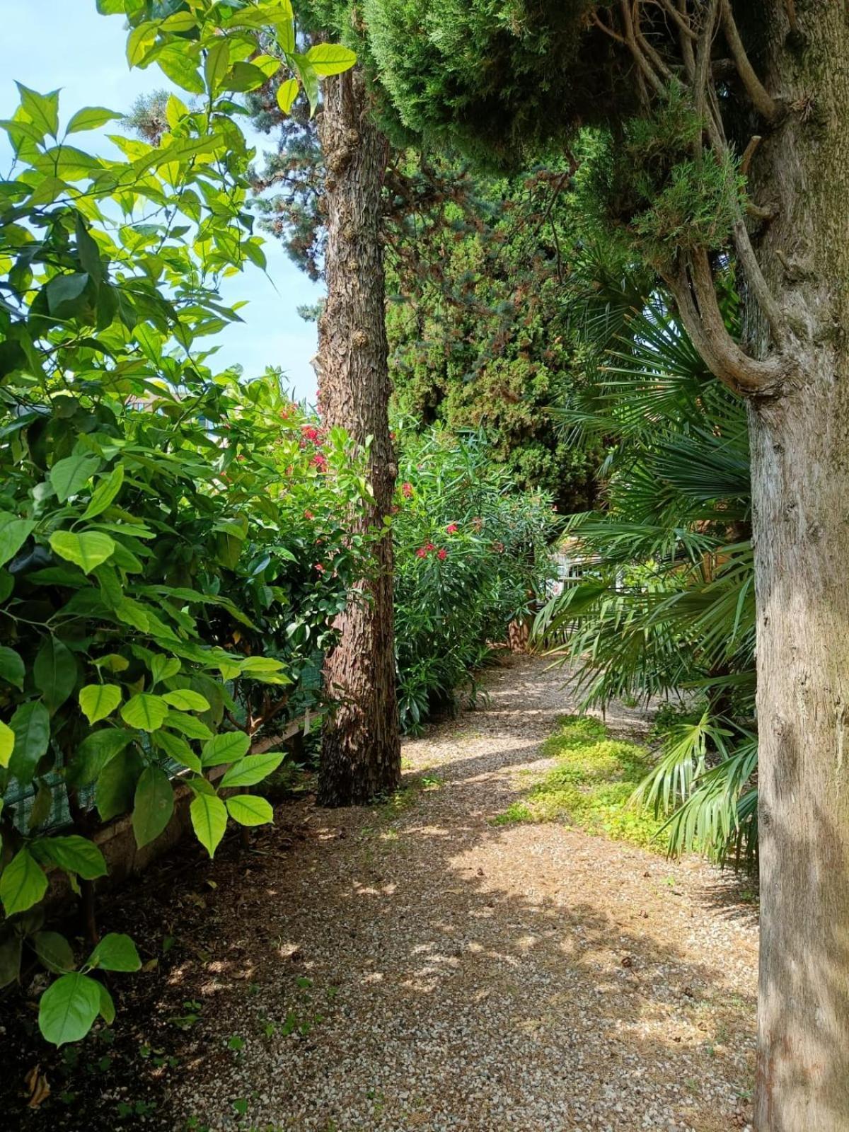 Casa Lucy Case de vacanță