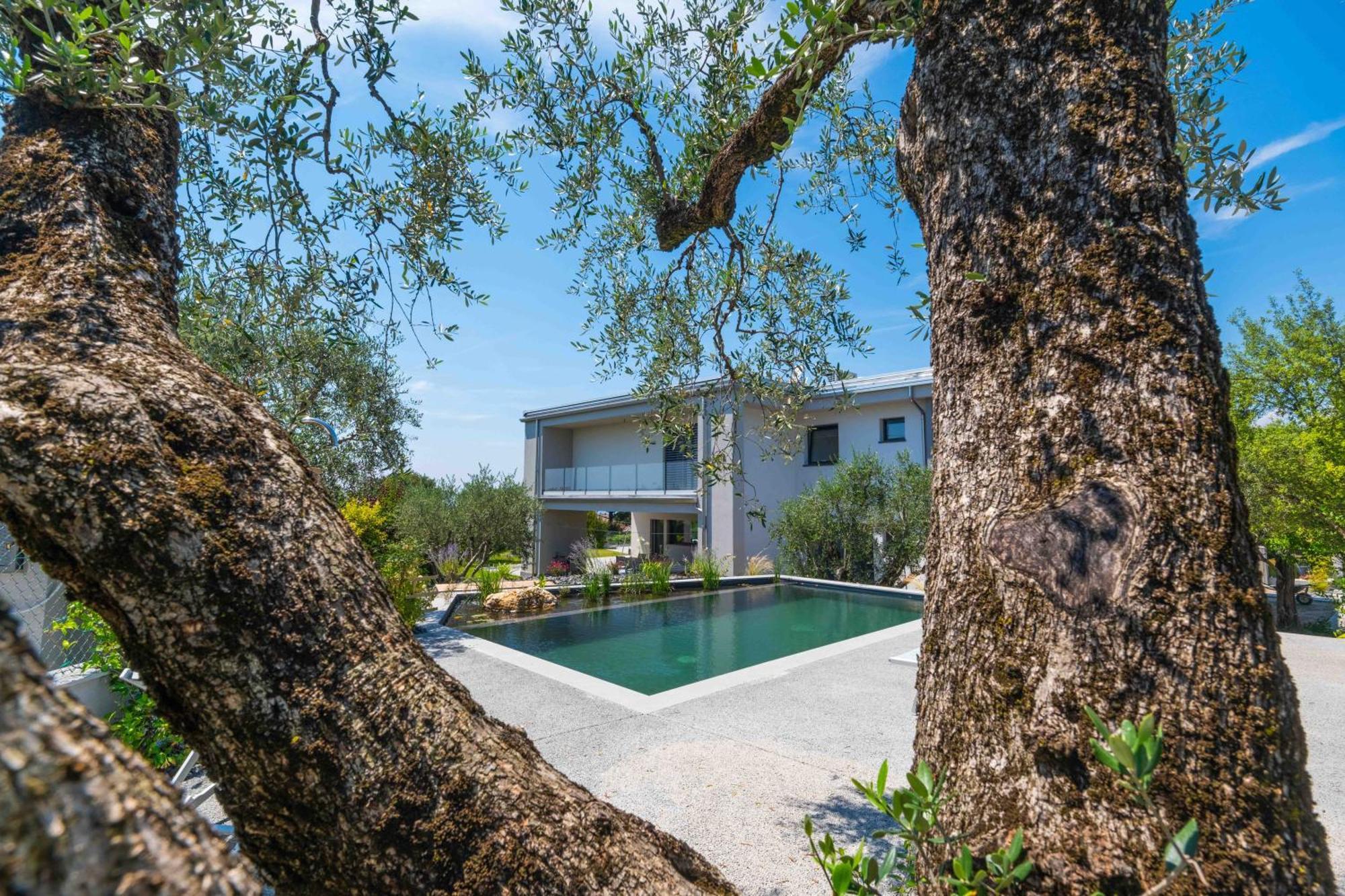 Inoltre Apartment Bardolino