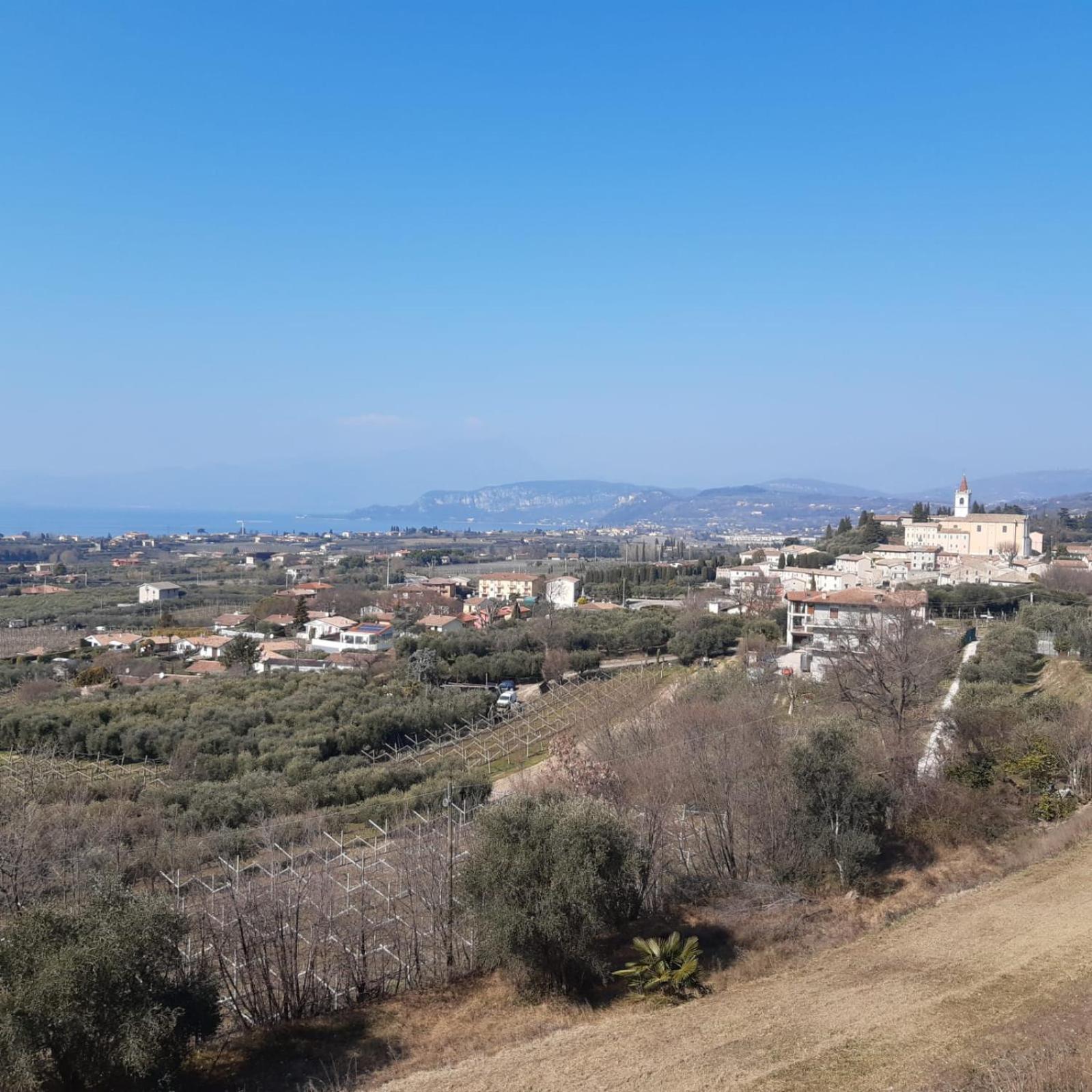 Artisanti - Dania * Bardolino