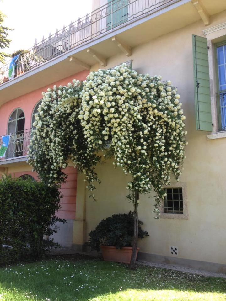 Cisano Residenza D'epoca Apartment