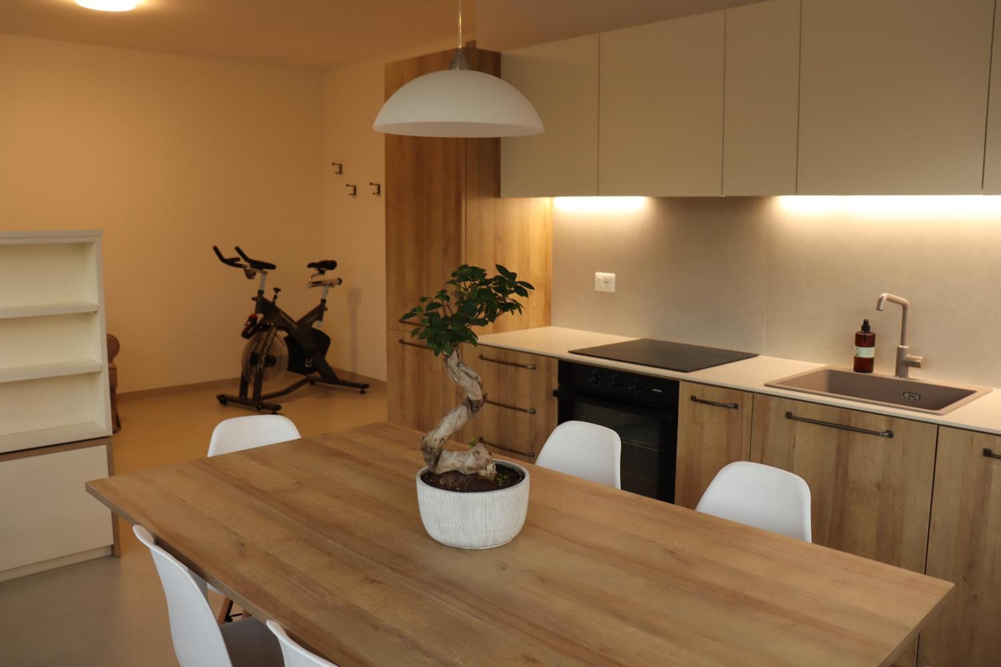 Apartment Domus Aurus Family