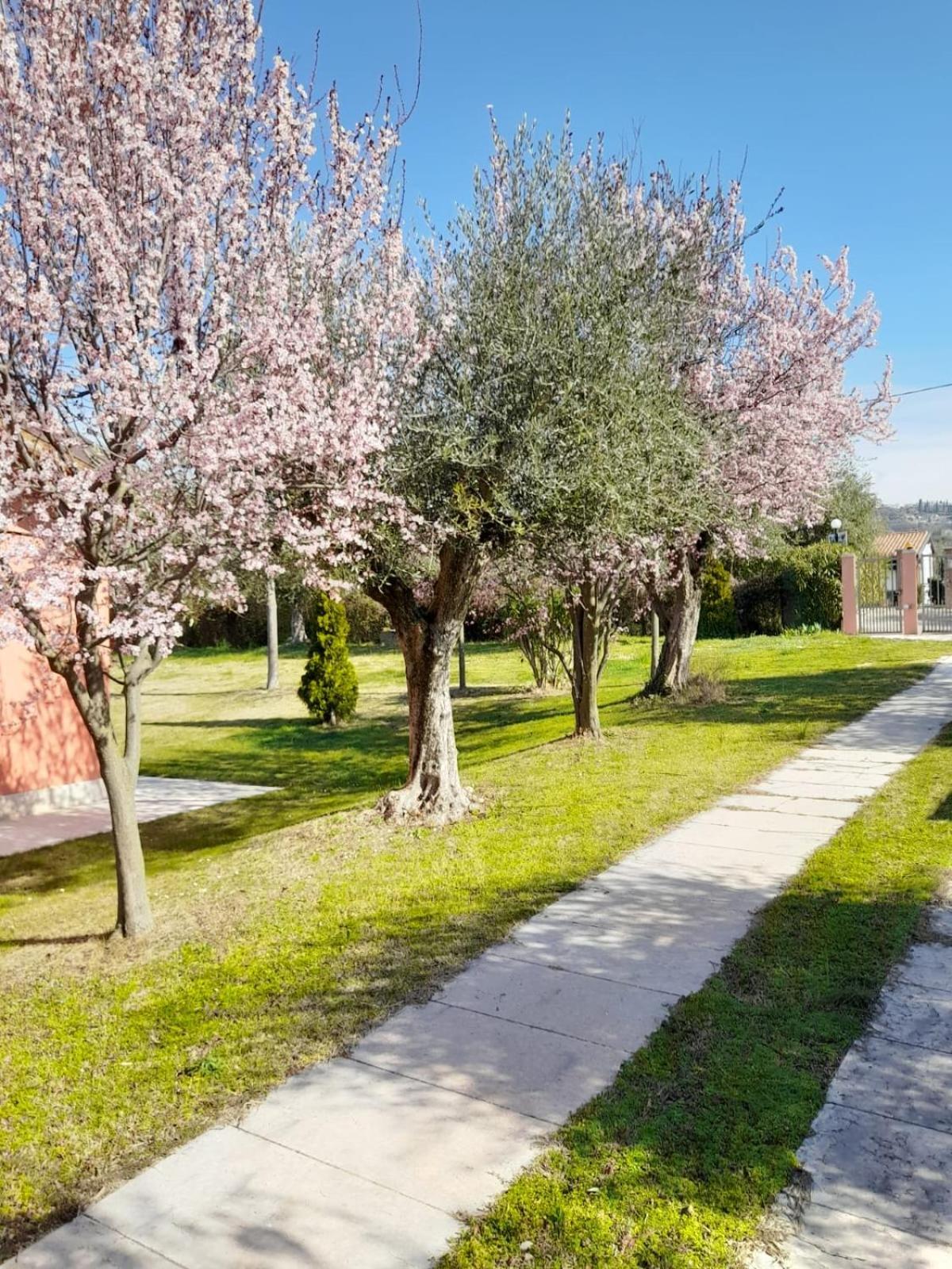 Aparthotel Melograno D'oro *