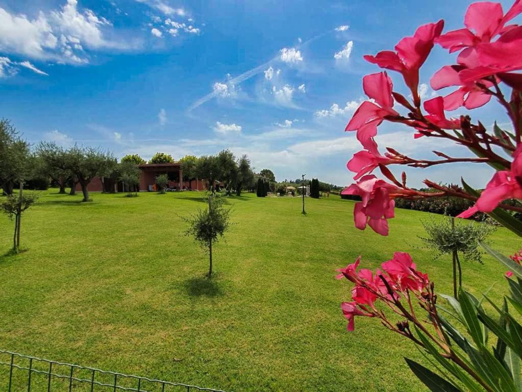 Claudia Farm stay *