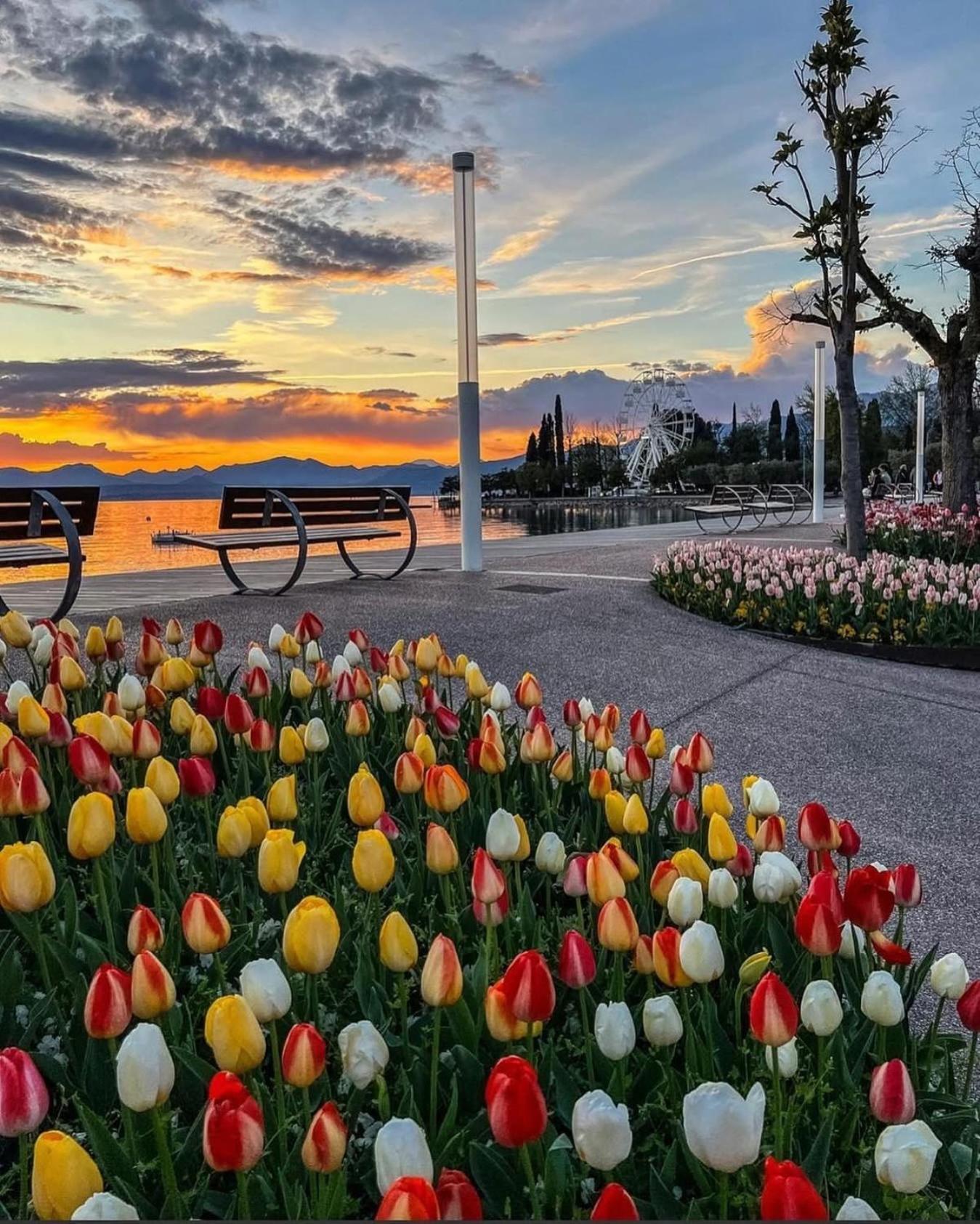 Vanti Al Garda Apartament