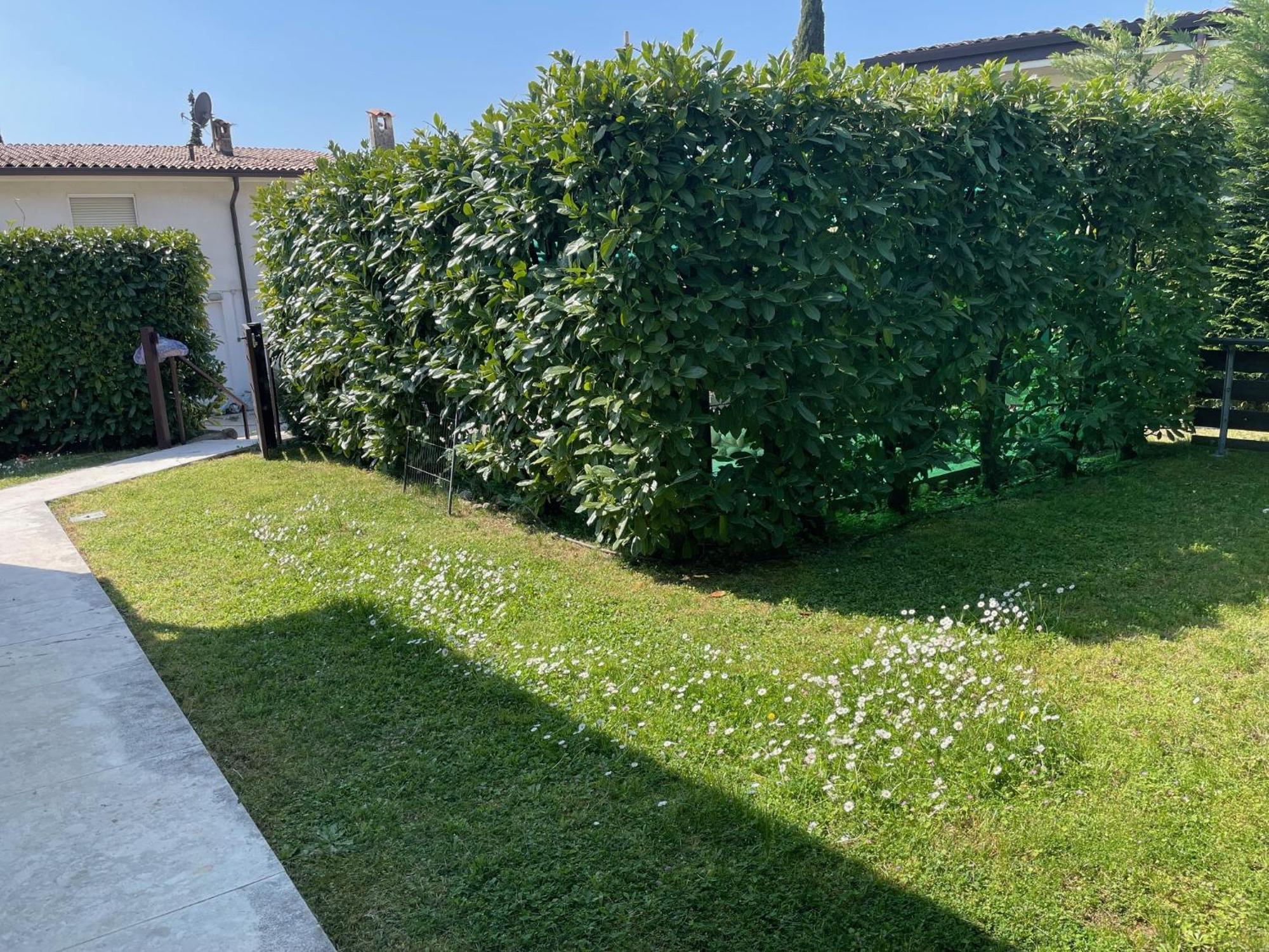 Apartament Montefelice *