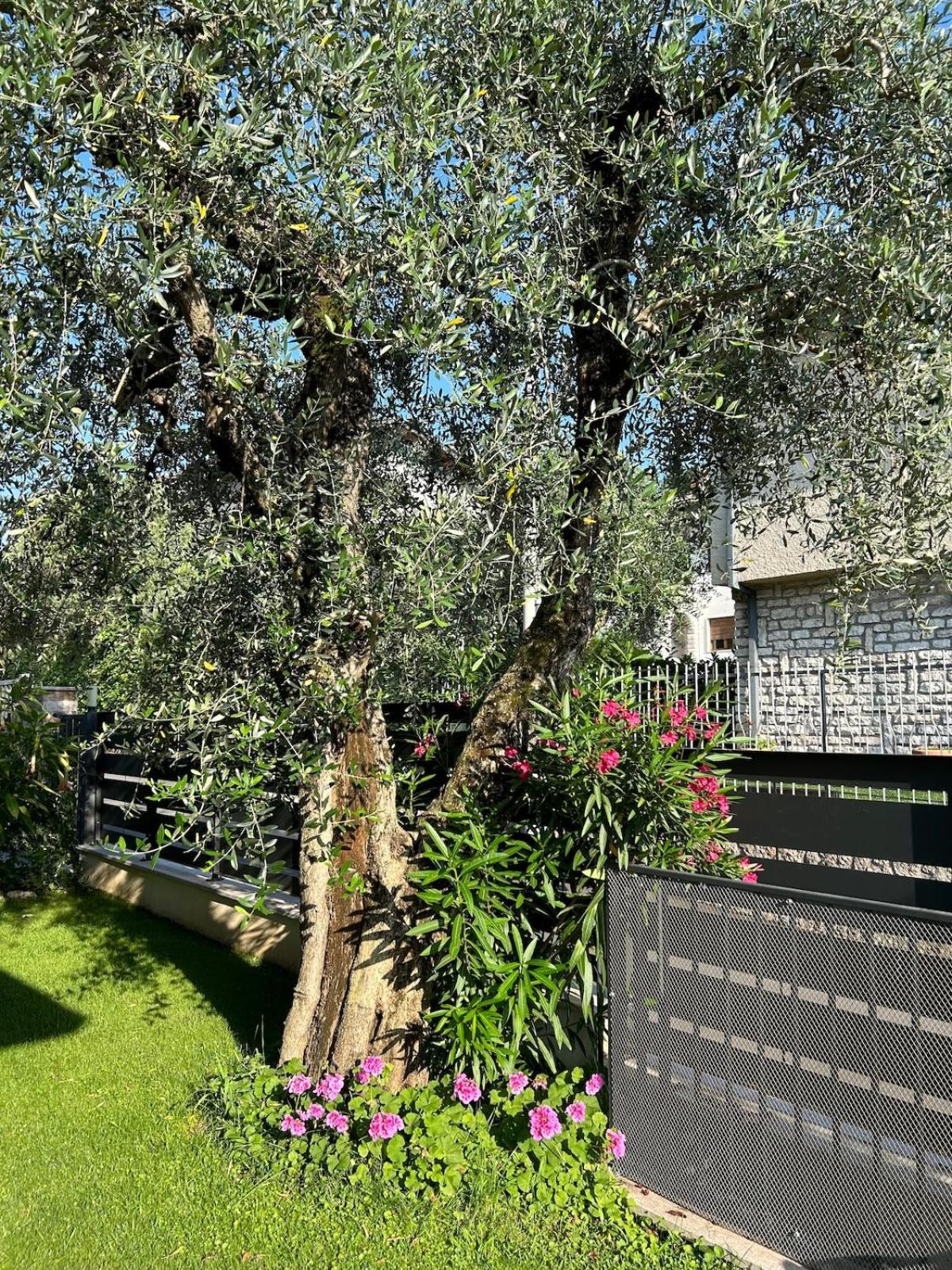 Rossini Apartment