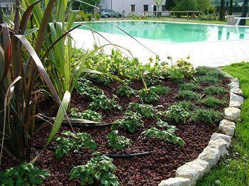 Le Campagnole Farm stay