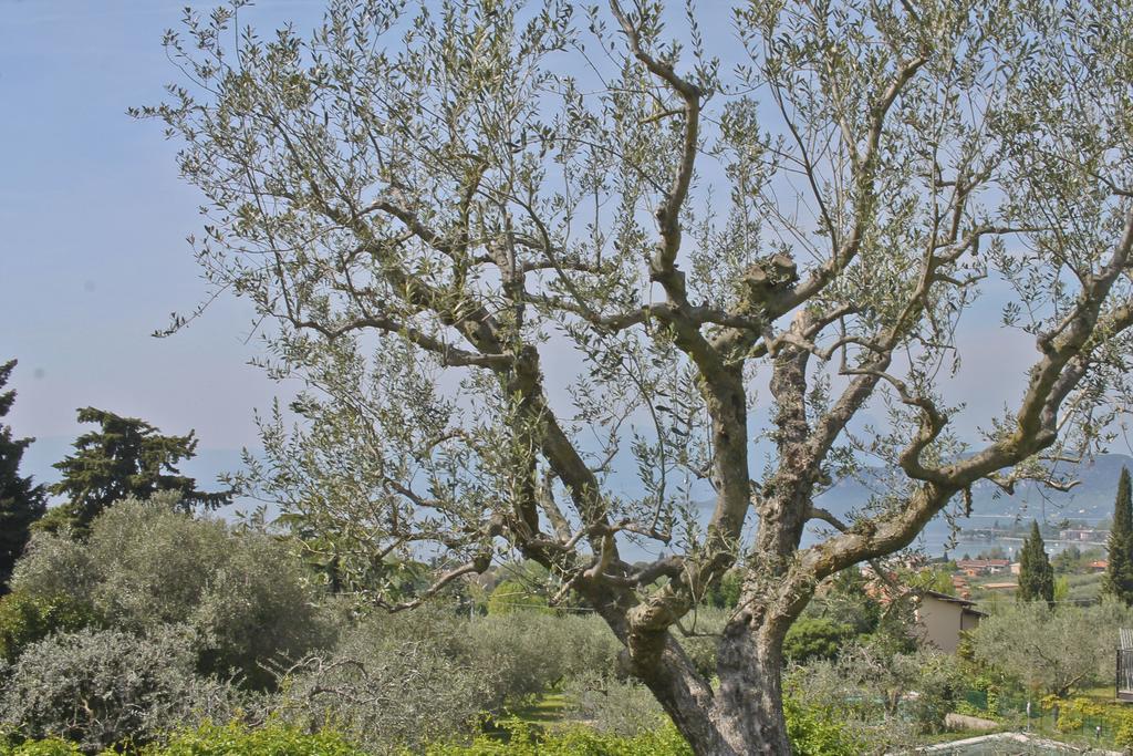 Lovely Elena - Garda Holiday home Bardolino