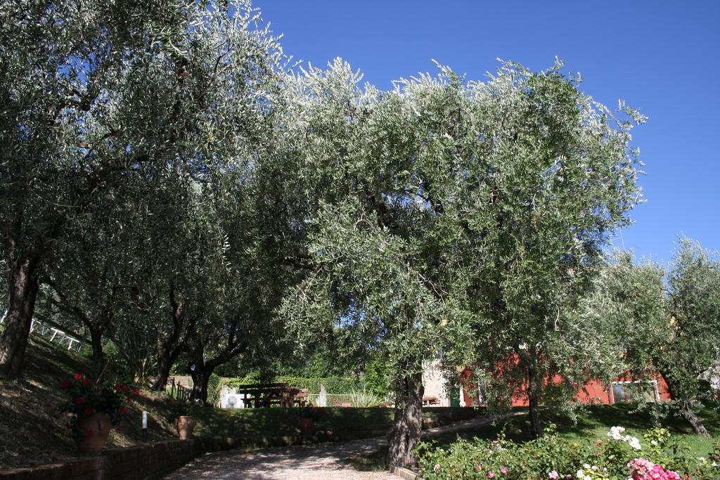 Guest house Casaliva Relais *