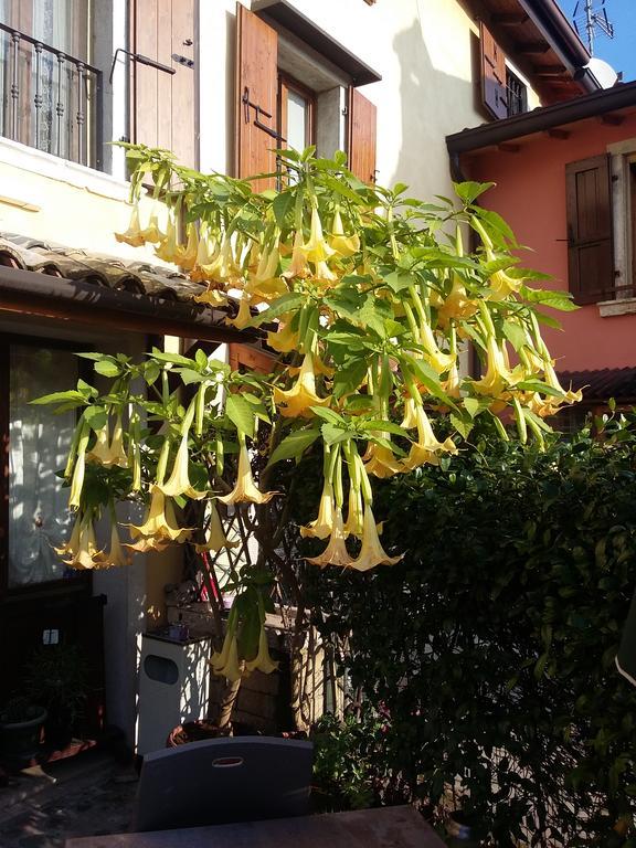 B&B La Carbonara 6 *