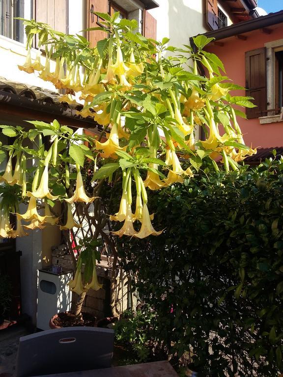 La Carbonara 6 Bardolino