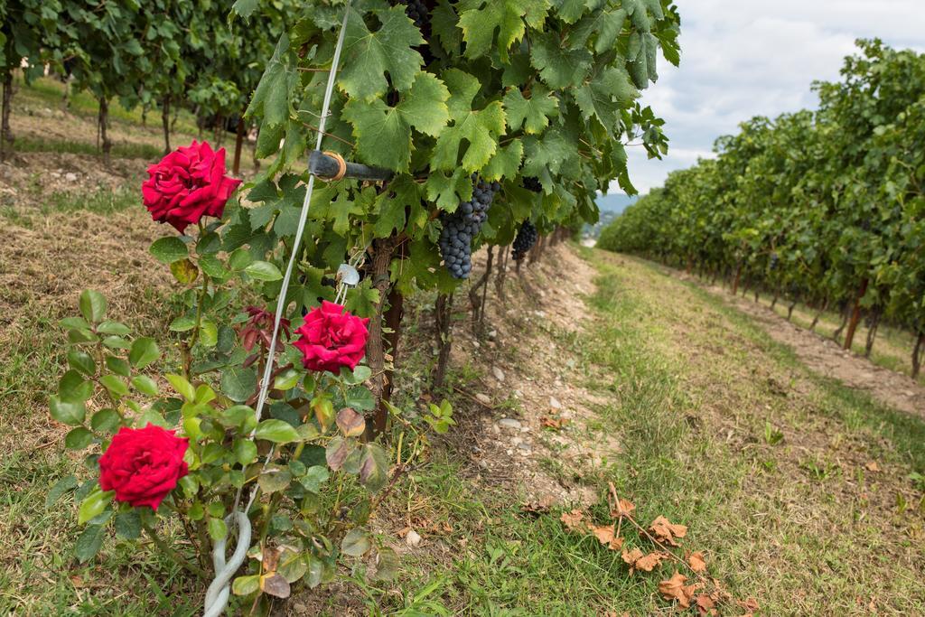 Farm stay Costadoro