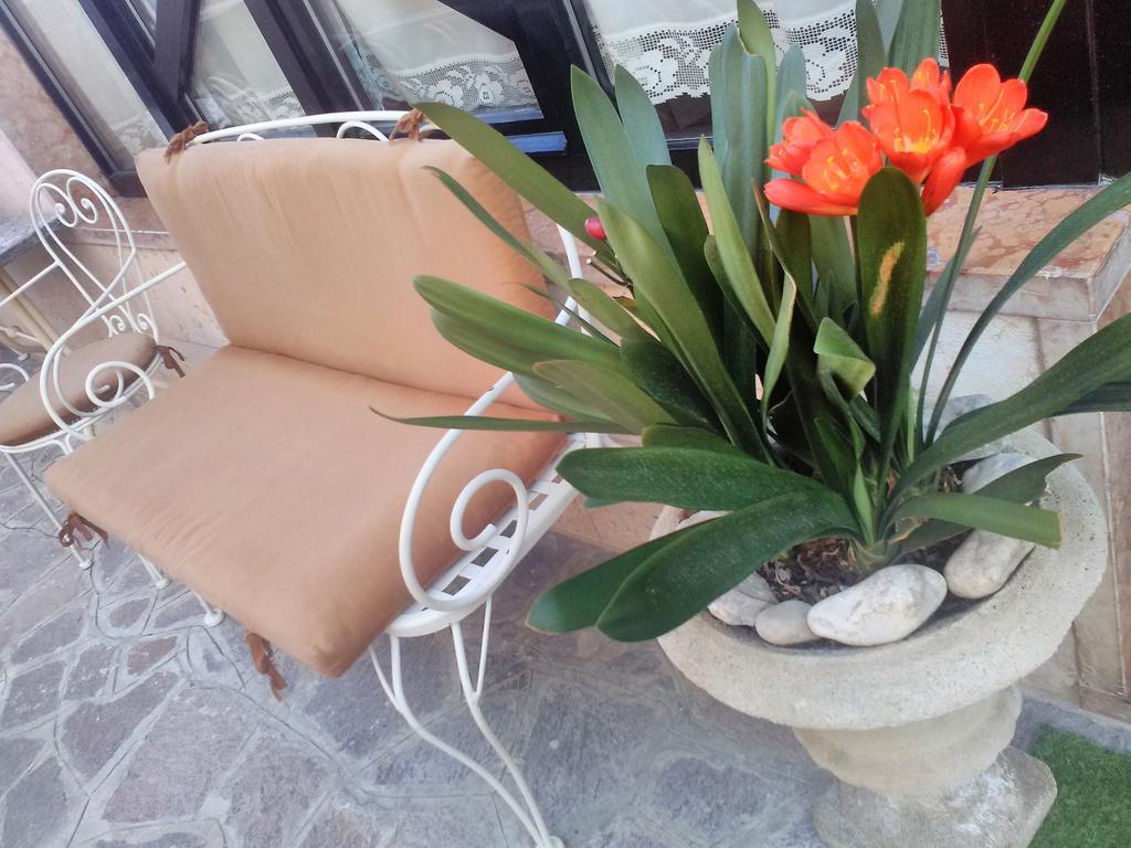 Hotel Orchidea