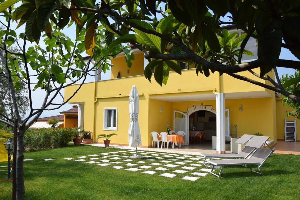 Mimosa Apartment