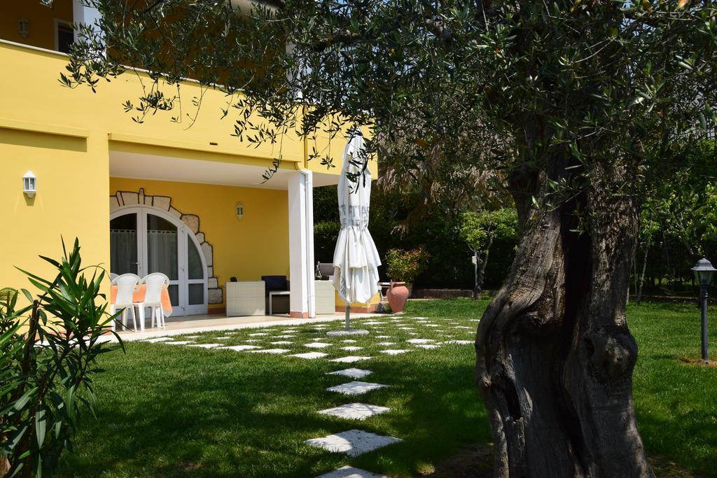 Mimosa * Bardolino