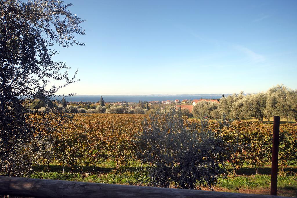 Bellavista * Bardolino