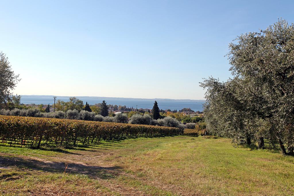 Bellavista *
